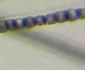 f0104057_0364926.jpg