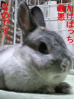 f0104057_0454059.jpg