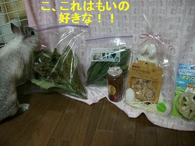 f0104057_0493855.jpg