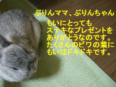 f0104057_0551589.jpg