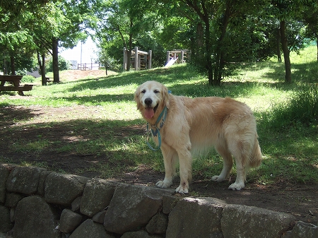 c0097558_17361881.jpg