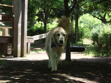 c0097558_17381527.jpg