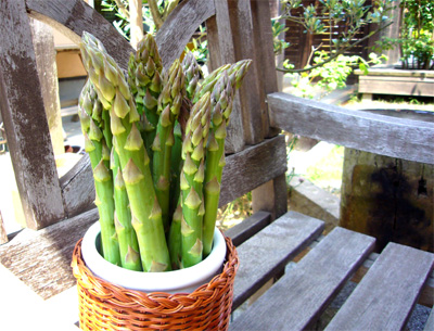 c0120363_4192759.jpg