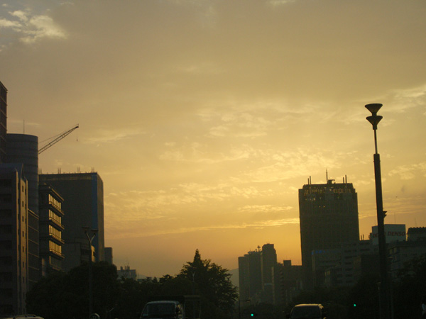 a0005065_726544.jpg