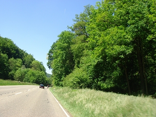 e0110868_032975.jpg