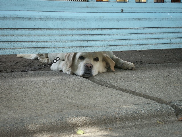 e0078069_00645.jpg