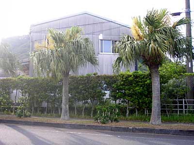 e0097770_0281838.jpg