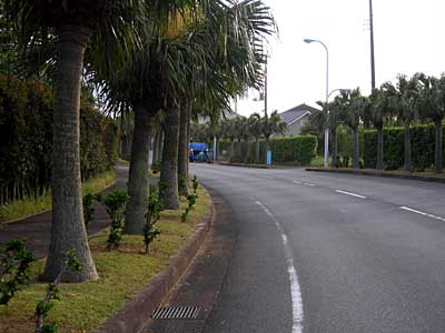 e0097770_028186.jpg