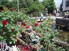 c0105785_21244620.jpg