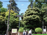 c0105785_21344019.jpg