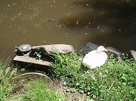 c0105785_21344783.jpg
