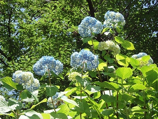 c0105785_21382220.jpg
