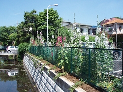 c0105785_21412628.jpg
