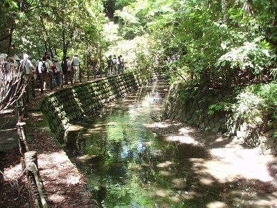 c0105785_21565380.jpg