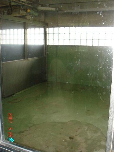 e0002891_21152433.jpg