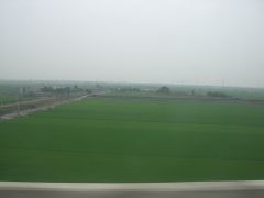 a0011494_1211285.jpg