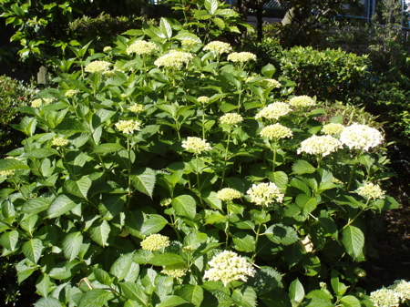 f0130894_2112356.jpg