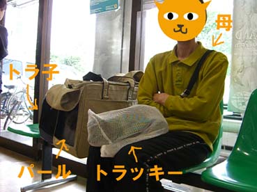 a0045697_22103240.jpg