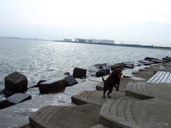 f0001698_310558.jpg