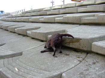 f0001698_311594.jpg