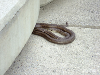 f0001698_315714.jpg