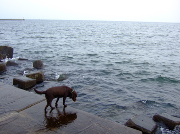 f0001698_36278.jpg