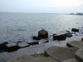 f0001698_373361.jpg