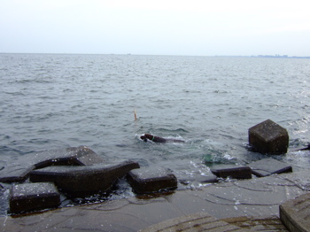 f0001698_38594.jpg