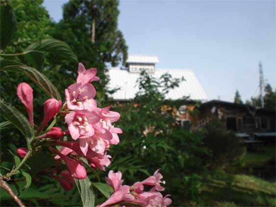 a0061599_8163623.jpg