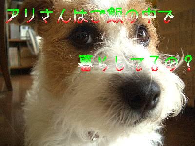 a0051402_1092163.jpg