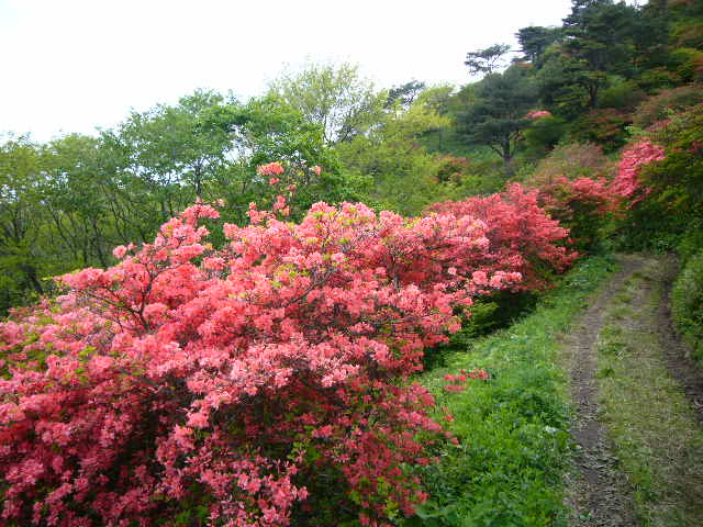 b0050305_7472277.jpg