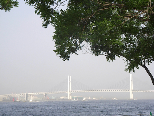 a0068306_2128139.jpg