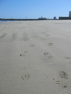 c0058606_23394366.jpg