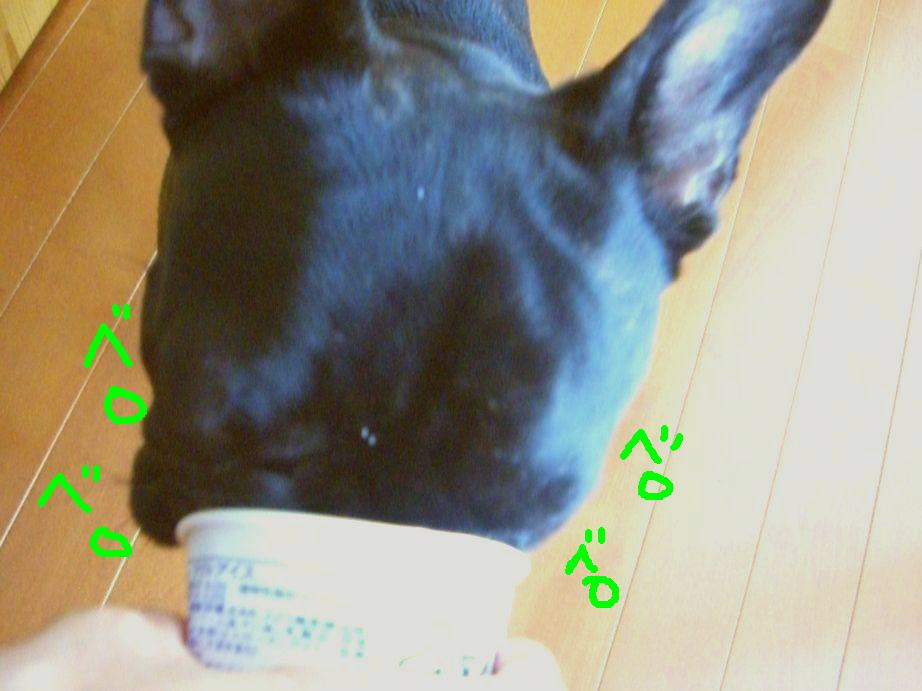 c0113109_0112325.jpg