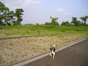 d0104209_20431634.jpg