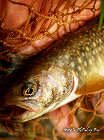 e0009009_20152915.jpg