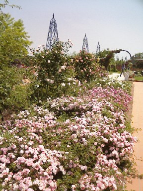 e0099212_20382130.jpg