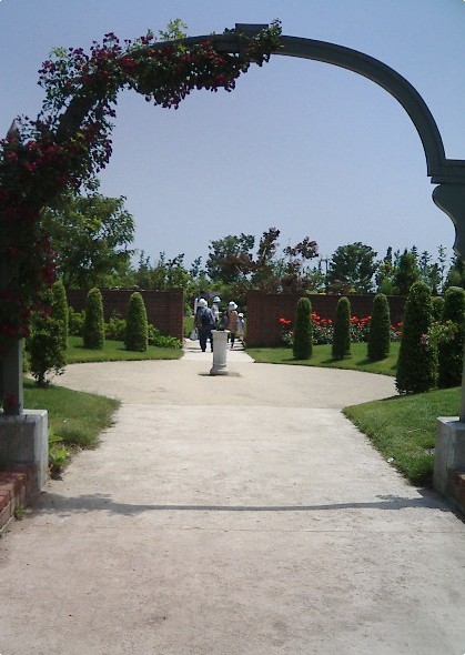 e0099212_2040868.jpg
