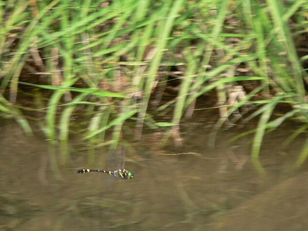 e0002314_20305027.jpg