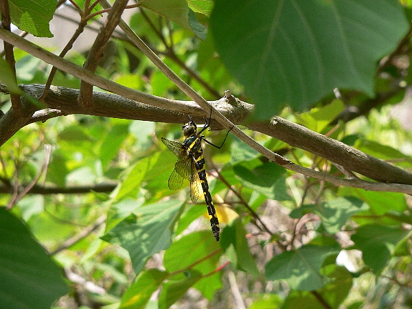 e0002314_20311158.jpg