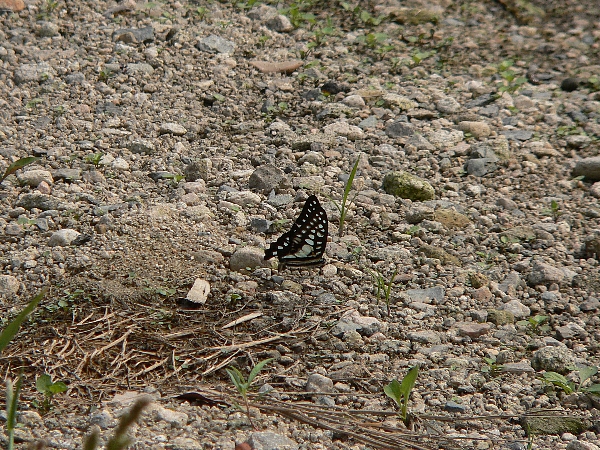 e0002314_2032129.jpg
