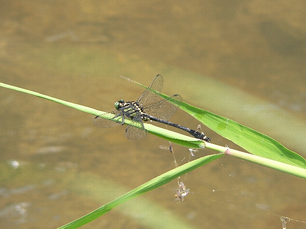 e0002314_20323296.jpg