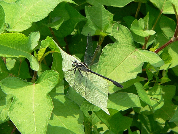 e0002314_20325399.jpg