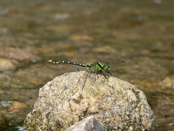 e0002314_20334045.jpg