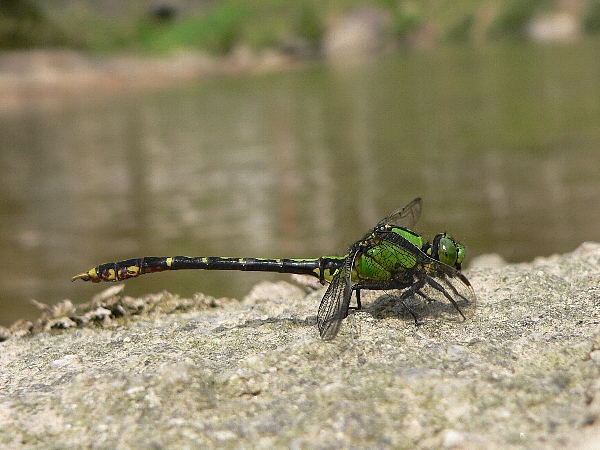 e0002314_20334925.jpg
