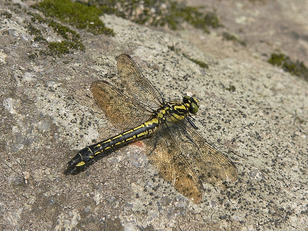 e0002314_2034258.jpg