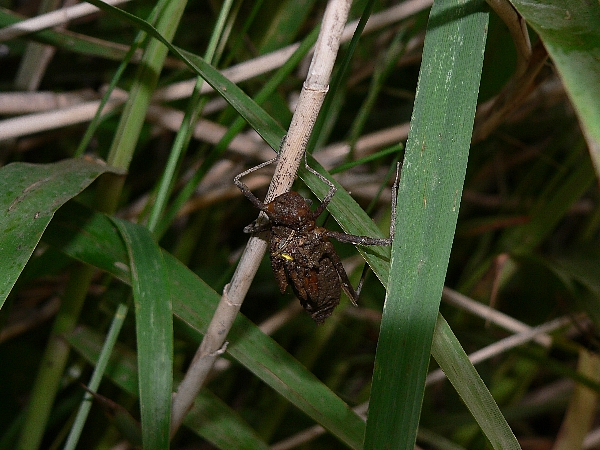 e0002314_2094590.jpg