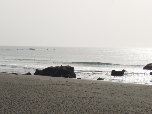 f0116314_20411135.jpg
