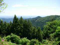 a0001815_13171278.jpg