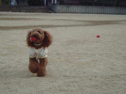 e0119017_0305331.jpg